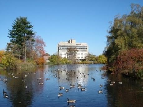UMass Hotel at the Campus Cent