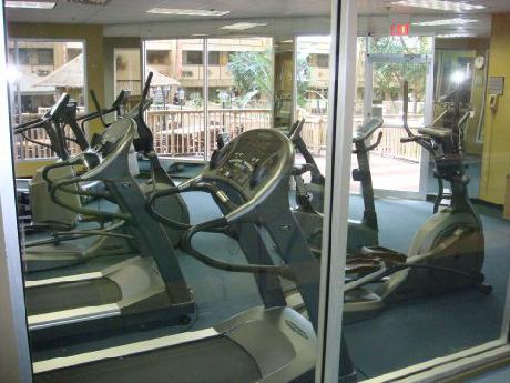 Holiday Inn ROLLING MDWS-SCHAUMBURG AREA