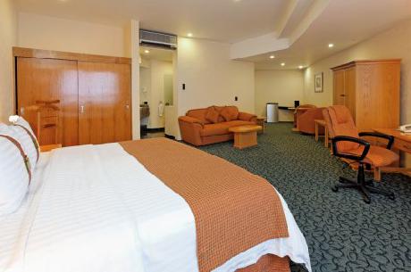 Holiday Inn MEXICO CITY-PLAZA DALI