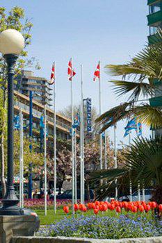 BEST WESTERN PLUS Sands