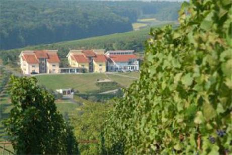 Hotel Becksteiner Rebenhof