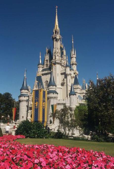 Hampton Inn  Suites OrlandoSouth