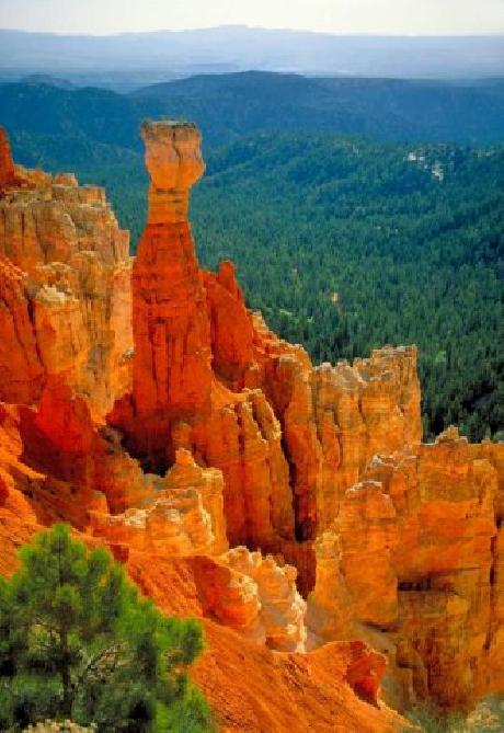 Hampton Inn  Suites Salt Lake City Arpt