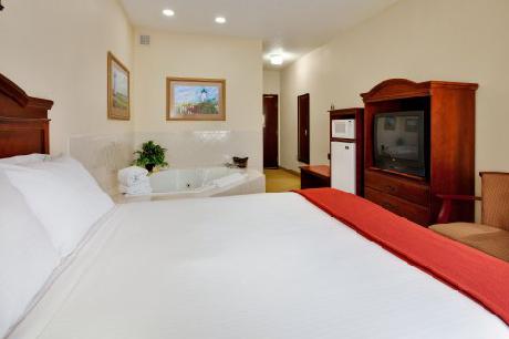 Holiday Inn Express Hotel & Suites PLAINFIELD