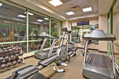 Holiday Inn CHICAGO OAKBROOK