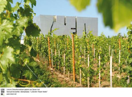 LOISIUM Wine Spa Resort Langenlois