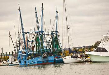 Renaissance Charleston Historic District Hotel