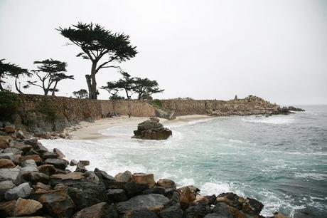 Pacific Grove Inn