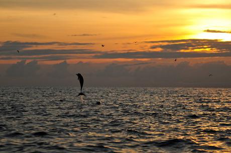 Spa Village Resort Tembok Bali