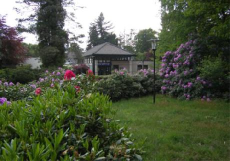 Golden Tulip Victoria