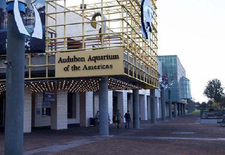 Courtyard New Orleans Metairie