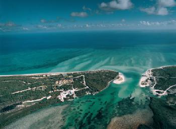 Parrot Cay