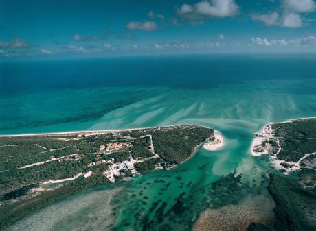 Parrot Cay