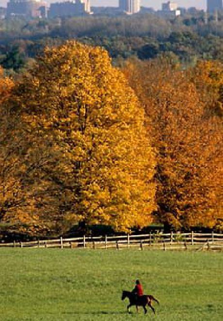 Courtyard Baltimore Hunt Valley