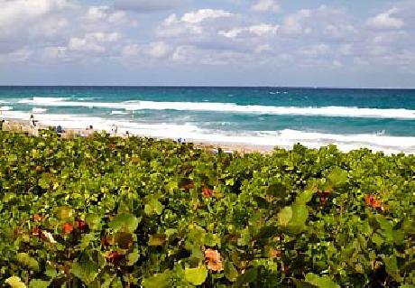 Fairfield Inn & Suites Boca Raton