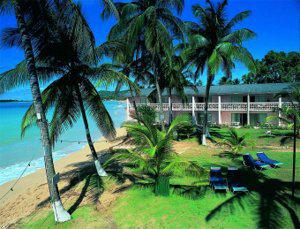 Papillion by Rex Resorts