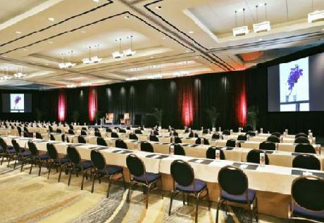 Dallas/Fort Worth Marriott Solana