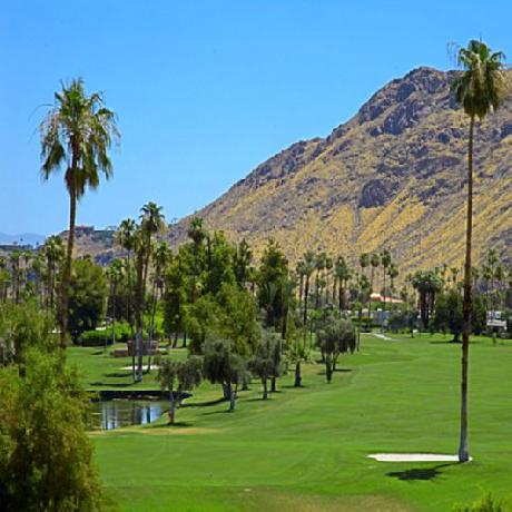 Palm Canyon Resort