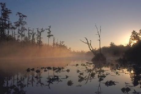 BEST WESTERN PLUS Kingsland