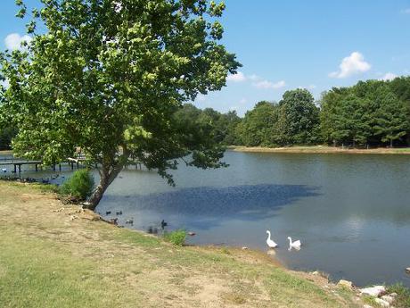 Holiday Inn Express Hotel & Suites OLIVE BRANCH