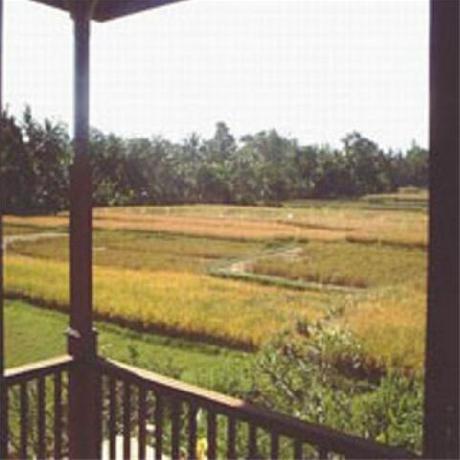 Tepi Sawah Villas and Spa