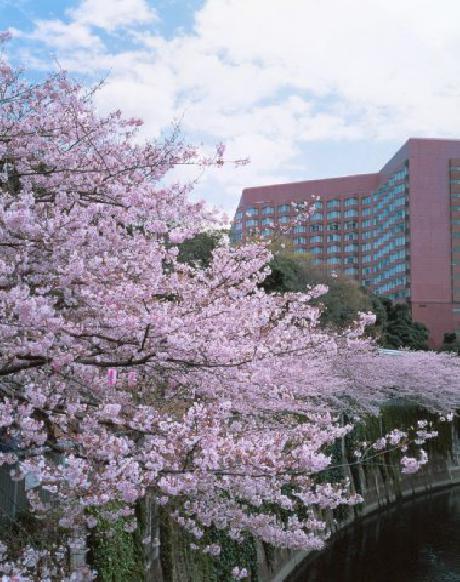 Four Seasons Tokyo at Chinzanso