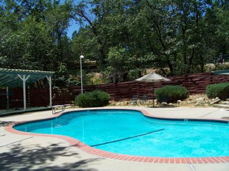 Golden Chain Grass Valley