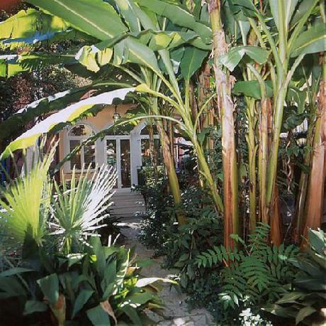 Hotel Astoria Garden