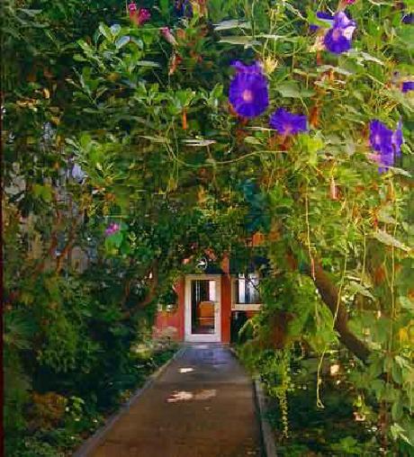 Mount View Hotel & Spa