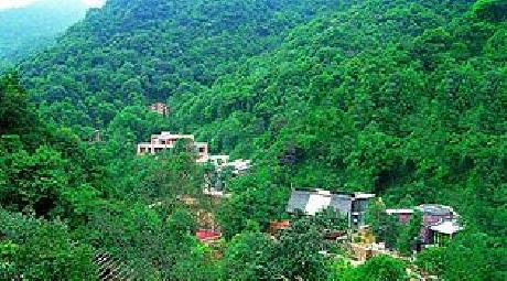 Utop Primeval Forest Resorts Hotel