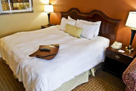 Hampton Inn Helen on the River