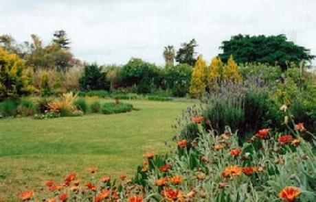 Cosmos Cuisine Guest House