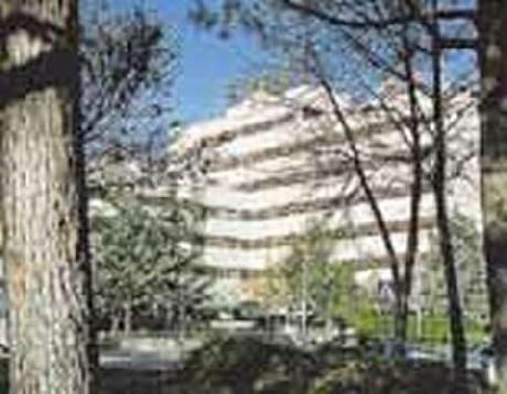 Civitas Torremangana