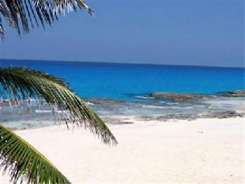 Stella Maris Resort Club