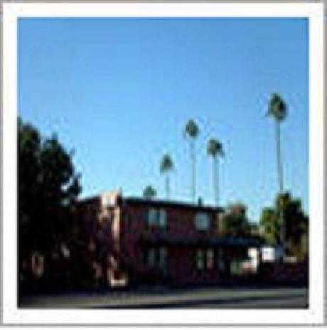 University Inn and Suites