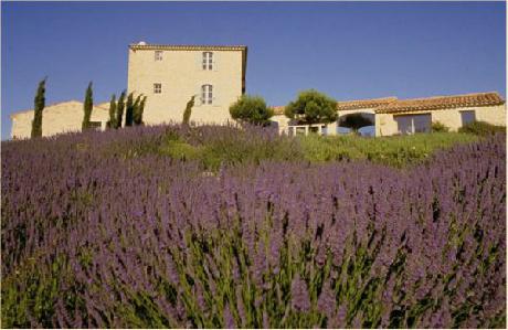 Domaine De Capelongue