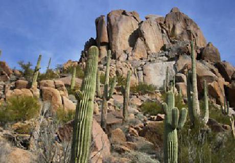 Courtyard Scottsdale at Mayo Clinic