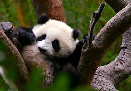 Residence Inn San Diego Rancho Bernardo/Carmel Mountain Ranch