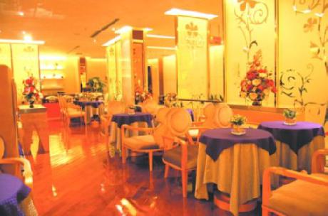 Hollaton International Hotel