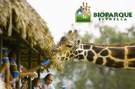 Hampton Inn by Hilton MonterreyAirport