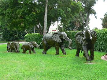 BEST WESTERN Naples Inn & Suites