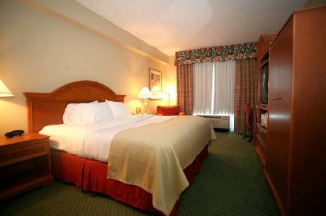Holiday Inn Hotel & Suites ORLANDO-CONV CTR-INTL DR AREA