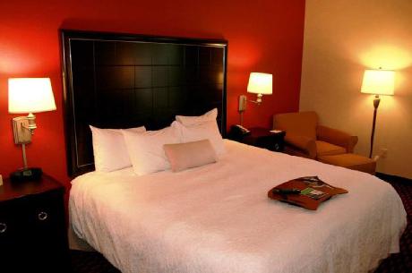 Hampton Inn  MT Pleasant MI