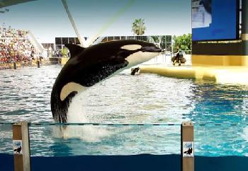 Courtyard Orlando Downtown