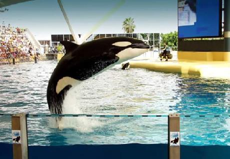 Courtyard Orlando Downtown