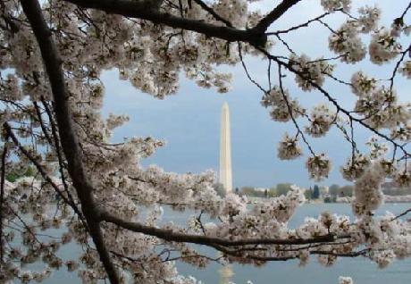 Fairfield Inn & Suites Washington, DC/Downtown