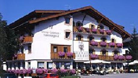 Hotel Tschurtschenthaler