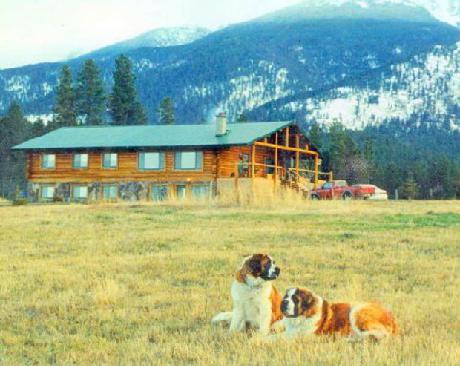 Twin Creeks Bed and Breakfast