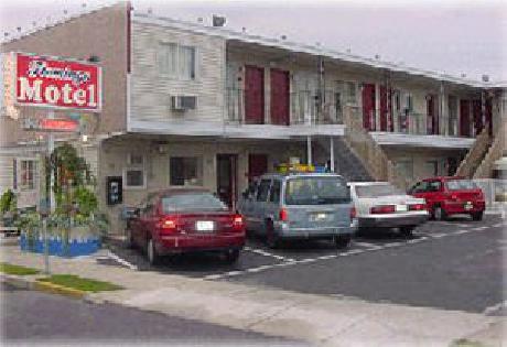Flamingo Motel