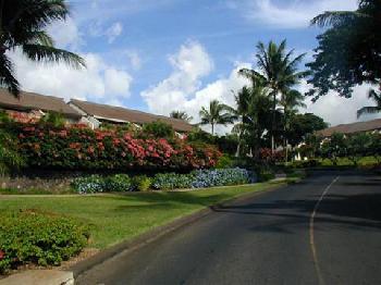 Maui Kamaole